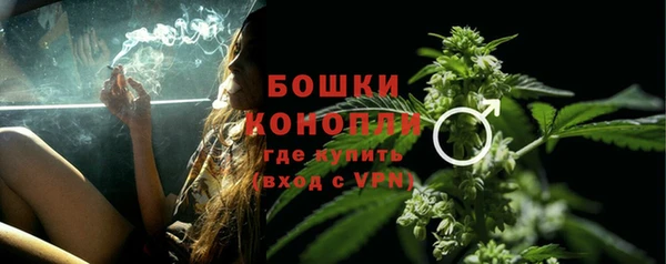 прущие грибы Баксан