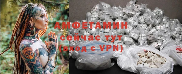 прущие грибы Баксан