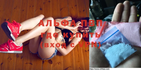 прущие грибы Баксан