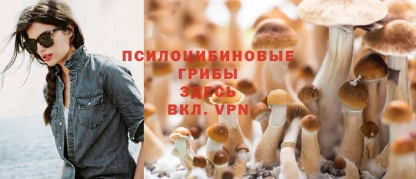 прущие грибы Баксан