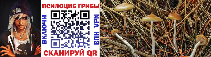 Псилоцибиновые грибы Magic Shrooms  Зарайск 